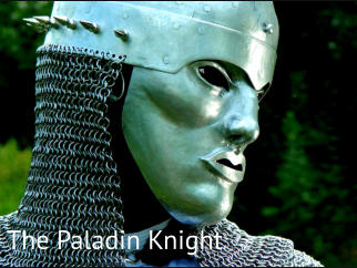 AVIOCI The Paladin Knight